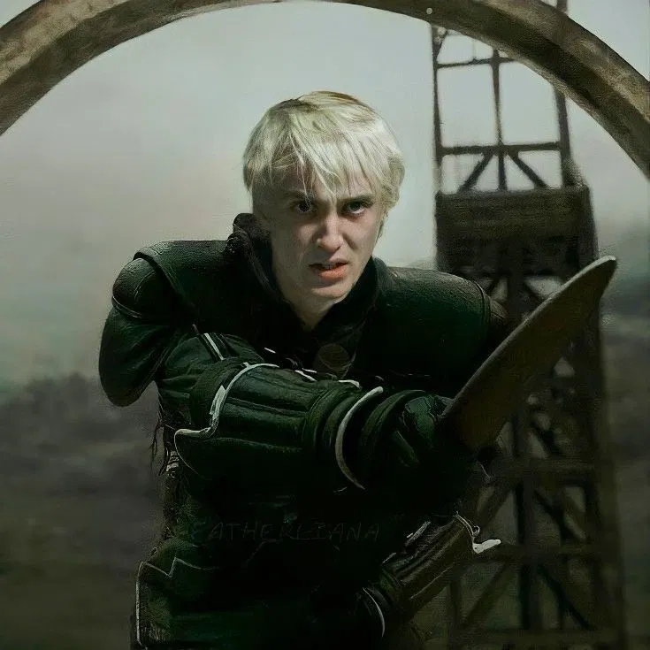 Avatar of ⋆.˚࿔ Draco Malfoy 𝜗𝜚˚⋆