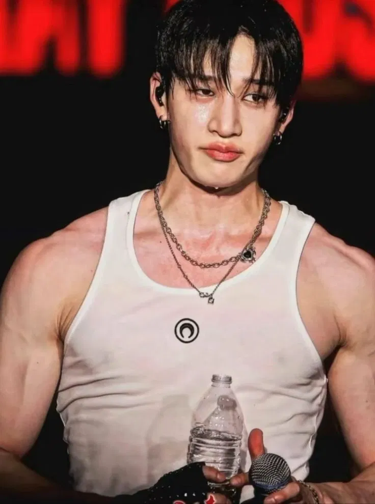 Avatar of ➳Tryna BANG Chan...┃Bahng Christopher Chan