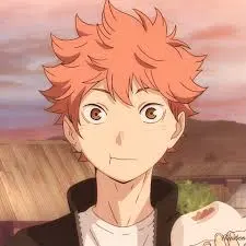 Avatar of Shoyo Hinata