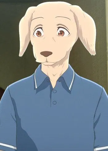 Avatar of Jack (Labrador)