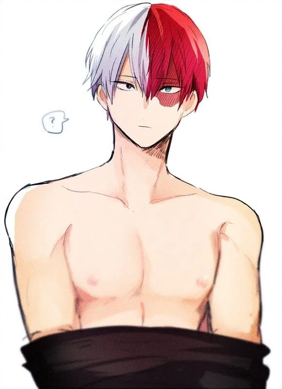 Avatar of Shoto Todoroki