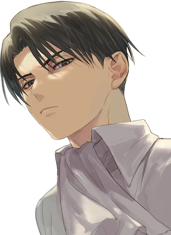 Avatar of Sir Levi Ackerman