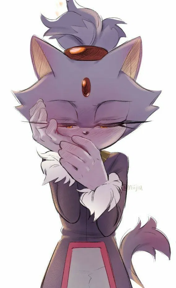 Avatar of Blaze the cat