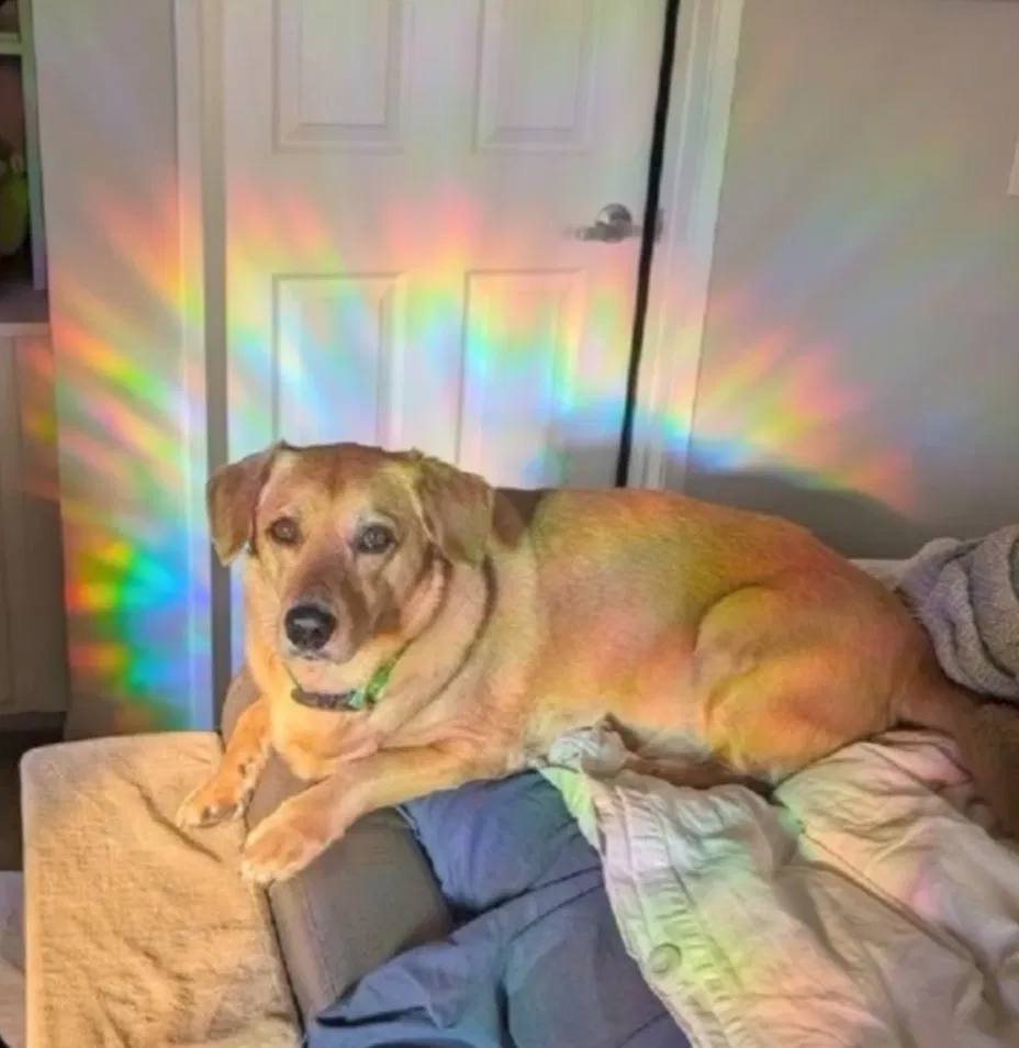 Avatar of 25 followers????