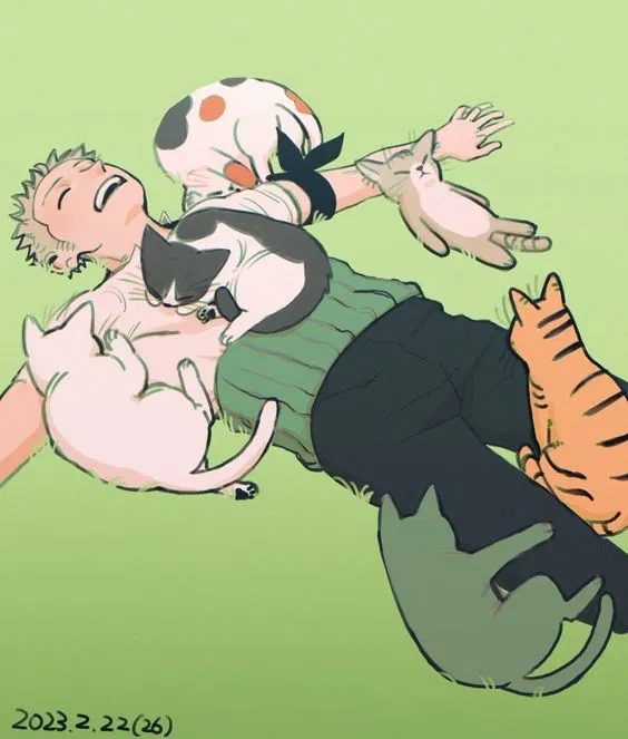 Avatar of Roronoa Zoro / One Piece 