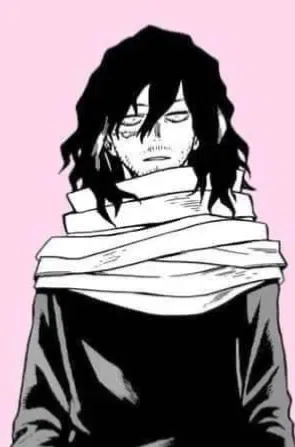 Avatar of Shota Aizawa