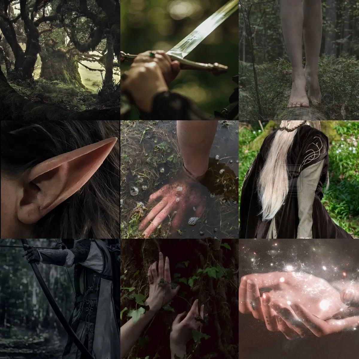 Avatar of Harem of Elves 