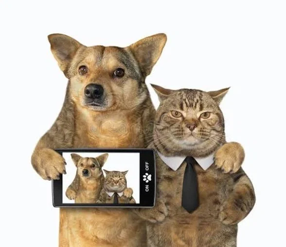 Avatar of IMPORTANT ANNOUNCEMENT | Promotion to a friend