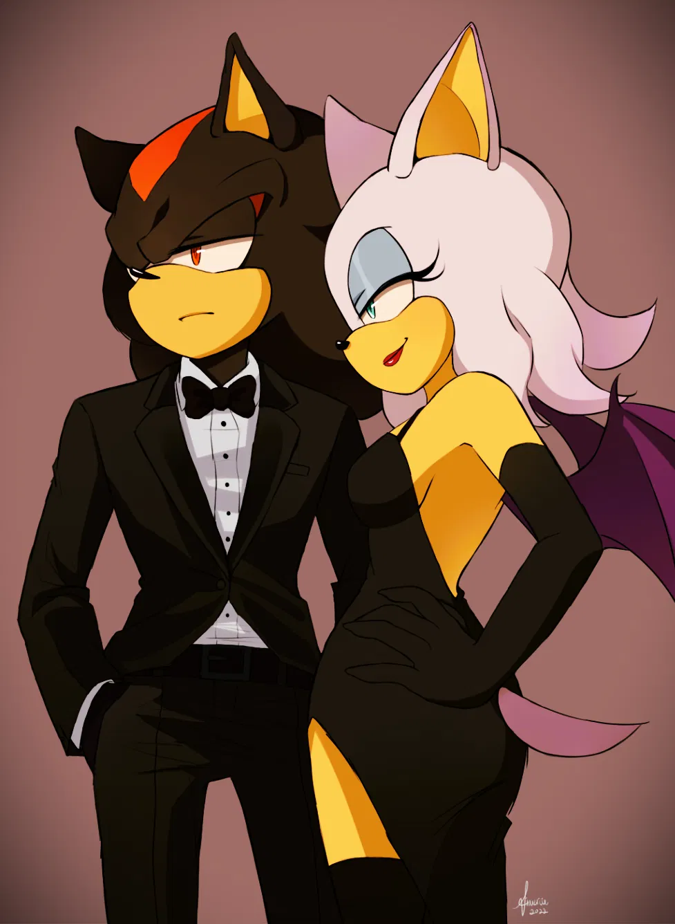 Avatar of Shadow & Rouge — Assassination Mission. 