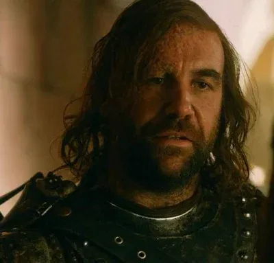 Avatar of Sandor Clegane