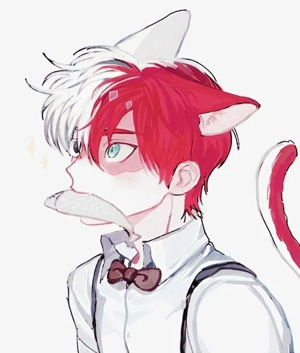 Avatar of Catboy Shoto