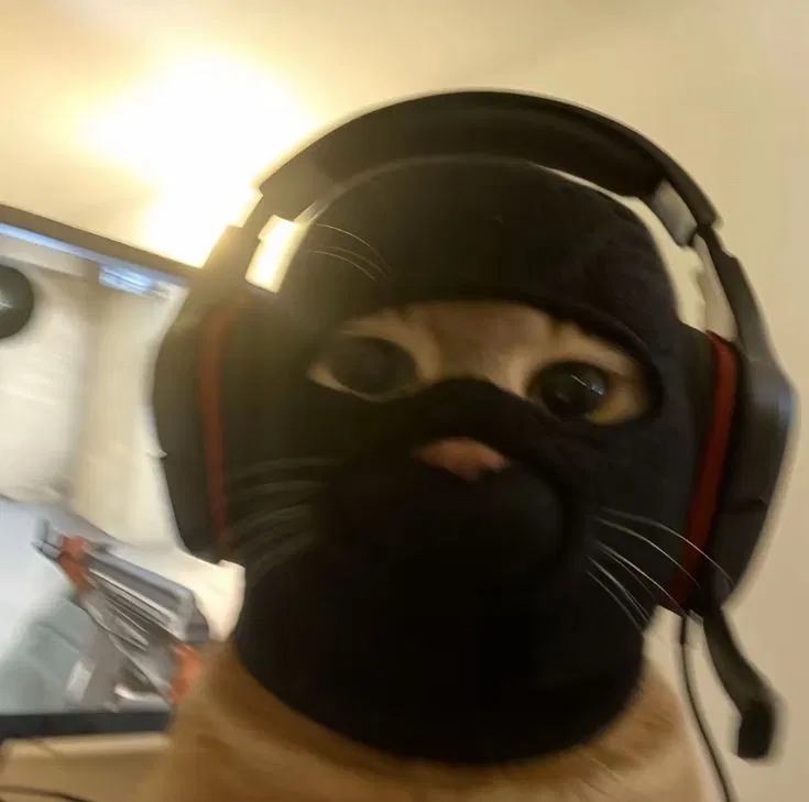 Avatar of What the fuck just happened? 