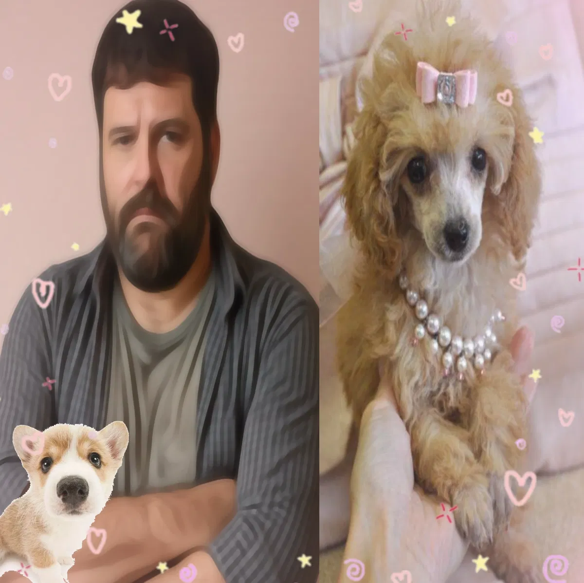 Avatar of ⤷ ゛ Oh my dog! ˎˊ˗
