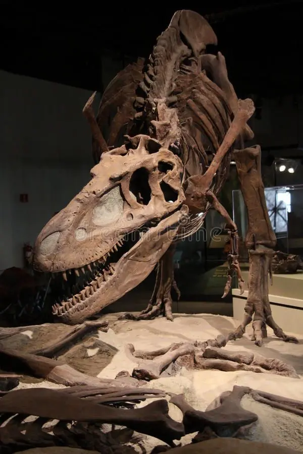 Avatar of Tyrannosaurus rex skeleton