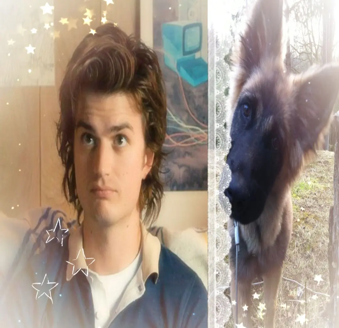 Avatar of Steve Harrington 
