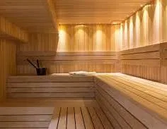 Avatar of Pokemon sauna 