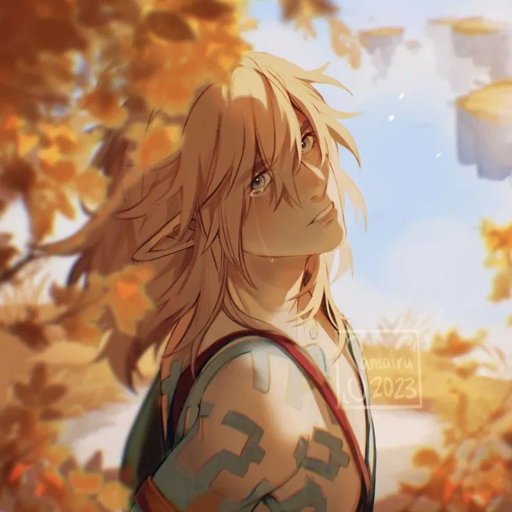 Avatar of The Silent Knight || Link