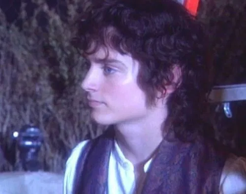 Avatar of Frodo Baggins 