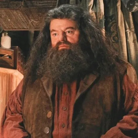 Avatar of Rubeus Hagrid