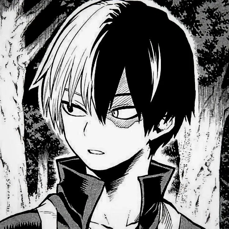 Avatar of 𑄽୧   ׅ ׅ       Shoto Todoroki - MHA