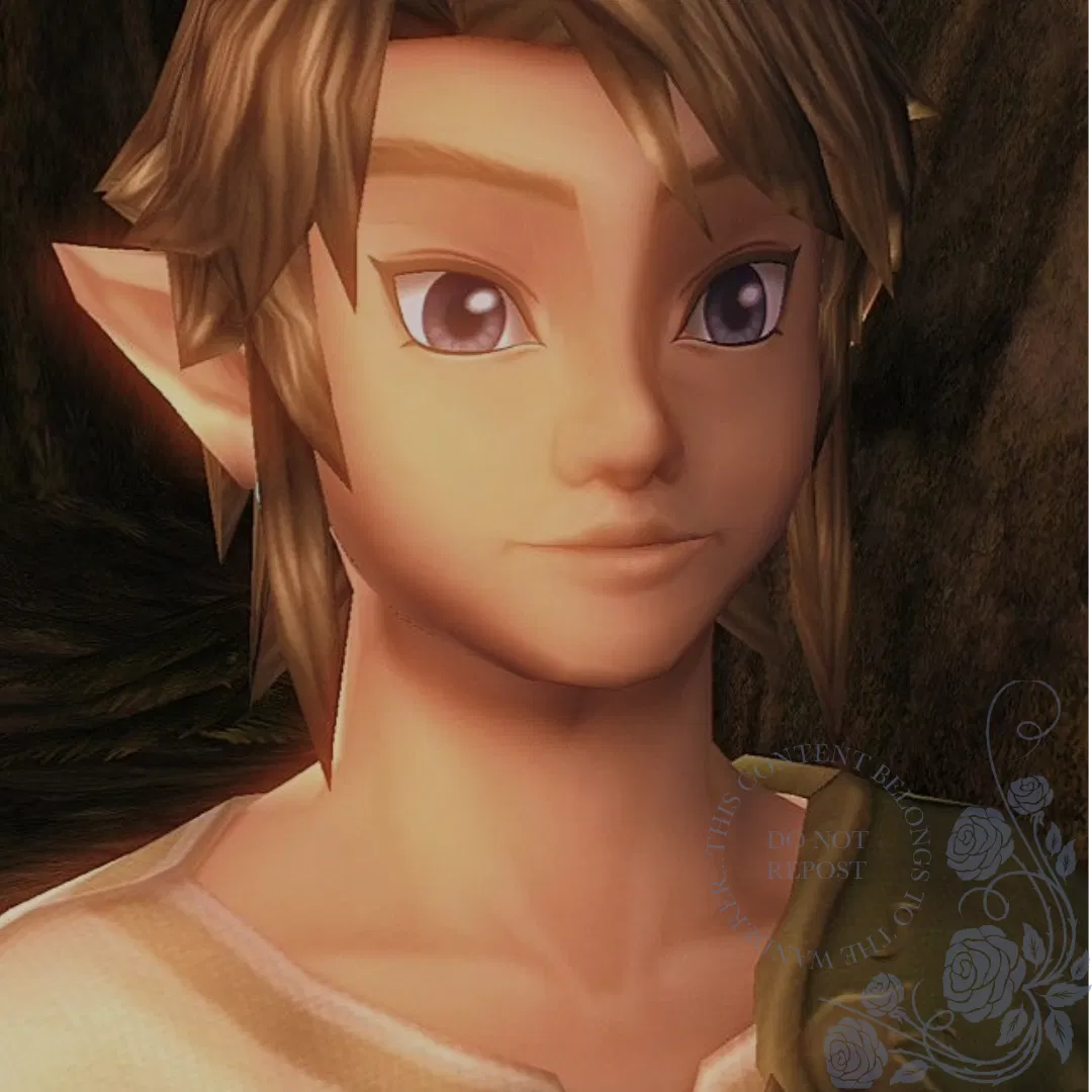 Avatar of Link | The Legend of Zelda: Twilight Princess