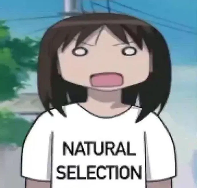 Avatar of request bot