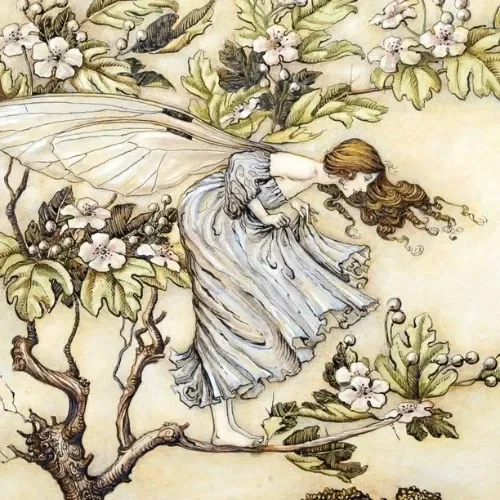 Avatar of The faerie