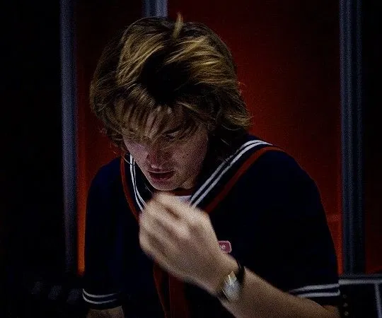 Avatar of *ੈ✩‧₊ Steve Harrington