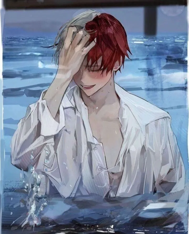 Avatar of Shoto Todoroki 