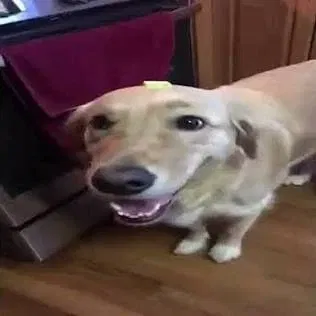 Avatar of Should I share my discord here?