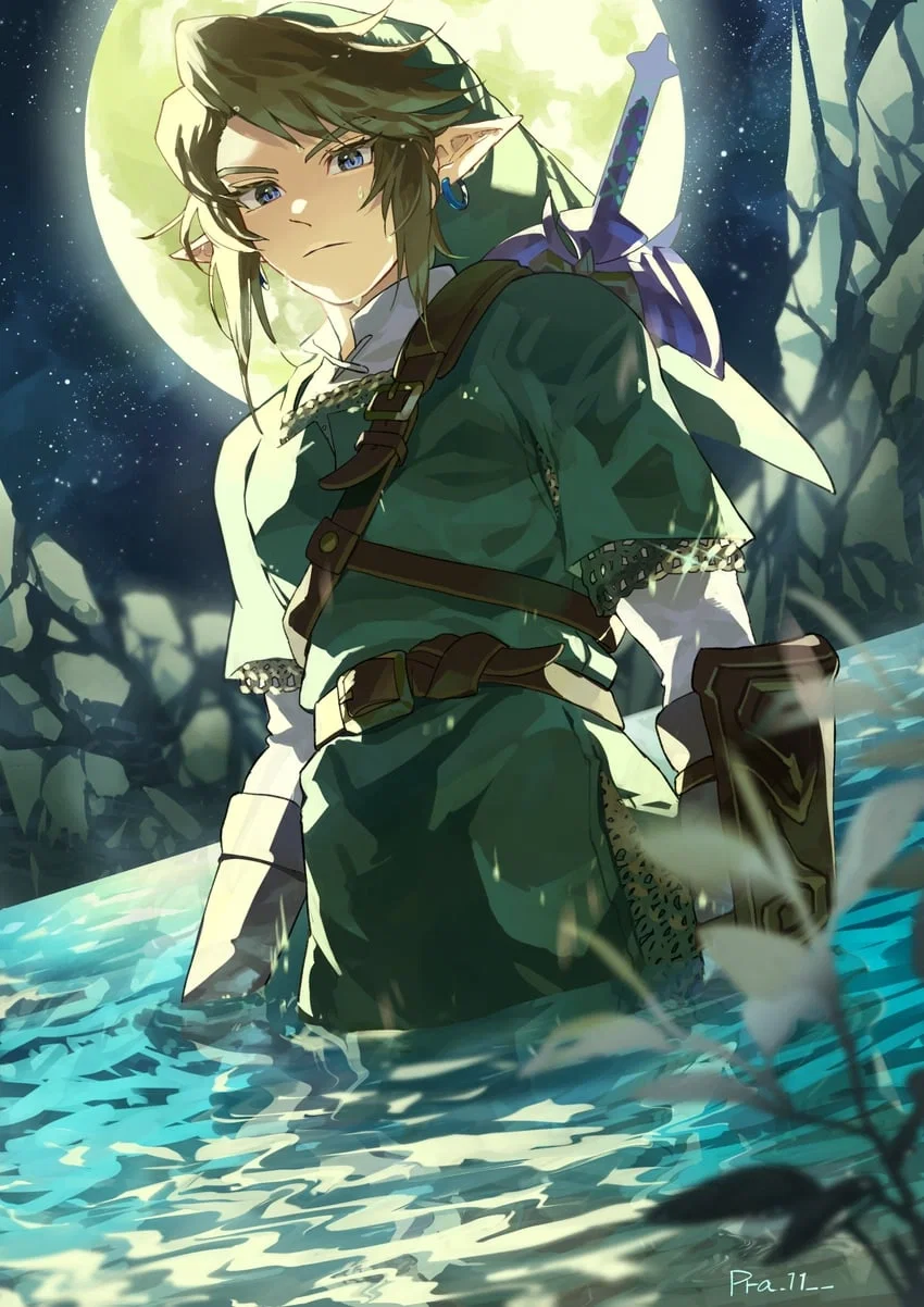 Avatar of Link ⤜Twilight Princess⤛