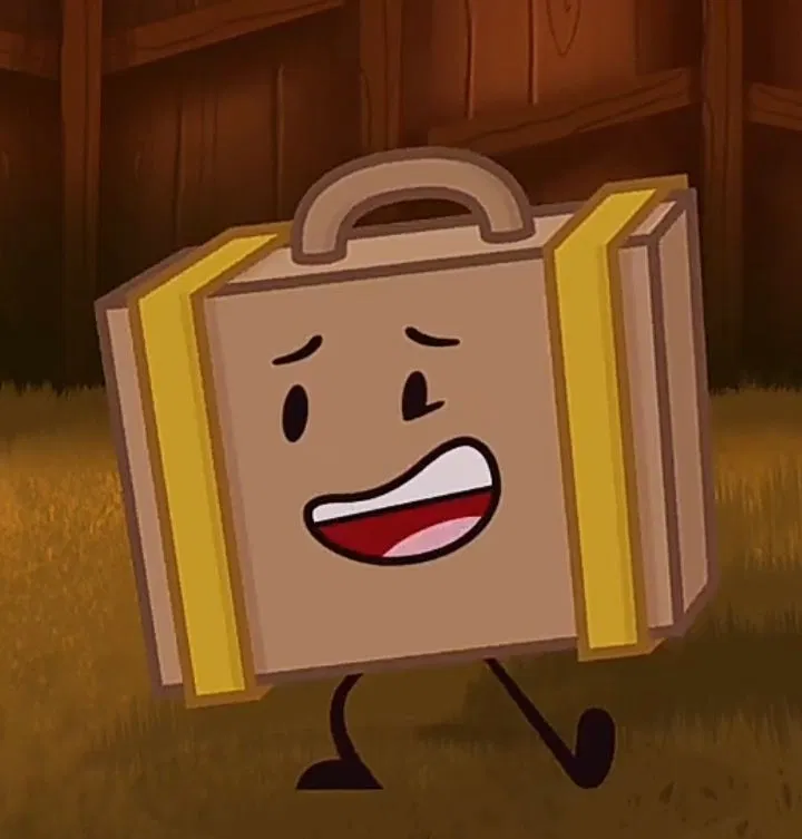 Avatar of Suitcase ii