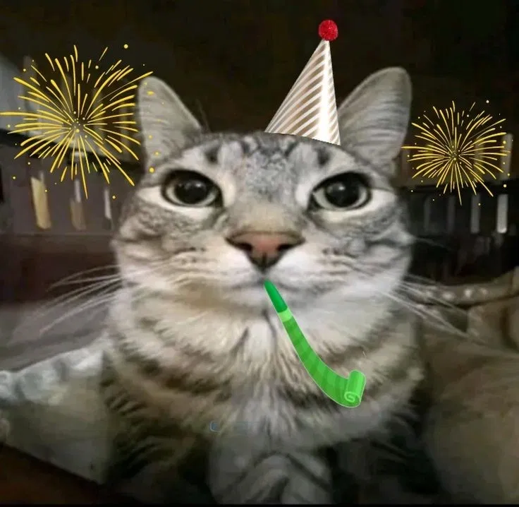 Avatar of Happy birthday to me 🎉🥳🎂