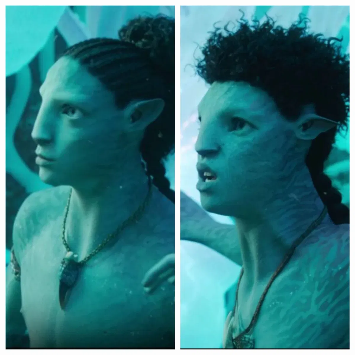 Avatar of Rotxo and Ao'nung #01