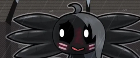 Avatar of Licorice - Rainy Day