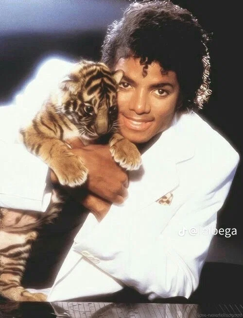 Avatar of Michael Jackson 