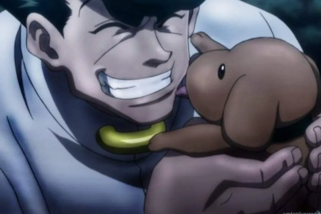 Avatar of knuckle Bine {Hunter x Hunter}