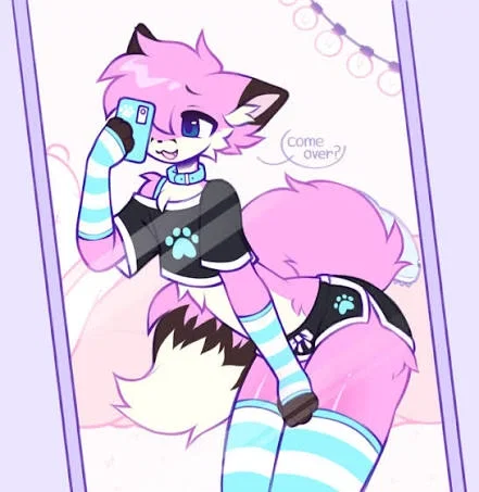 Avatar of Suki - Furry Femboy
