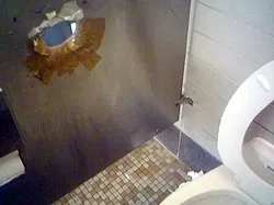 Avatar of Men's Bathroom Gloryhole