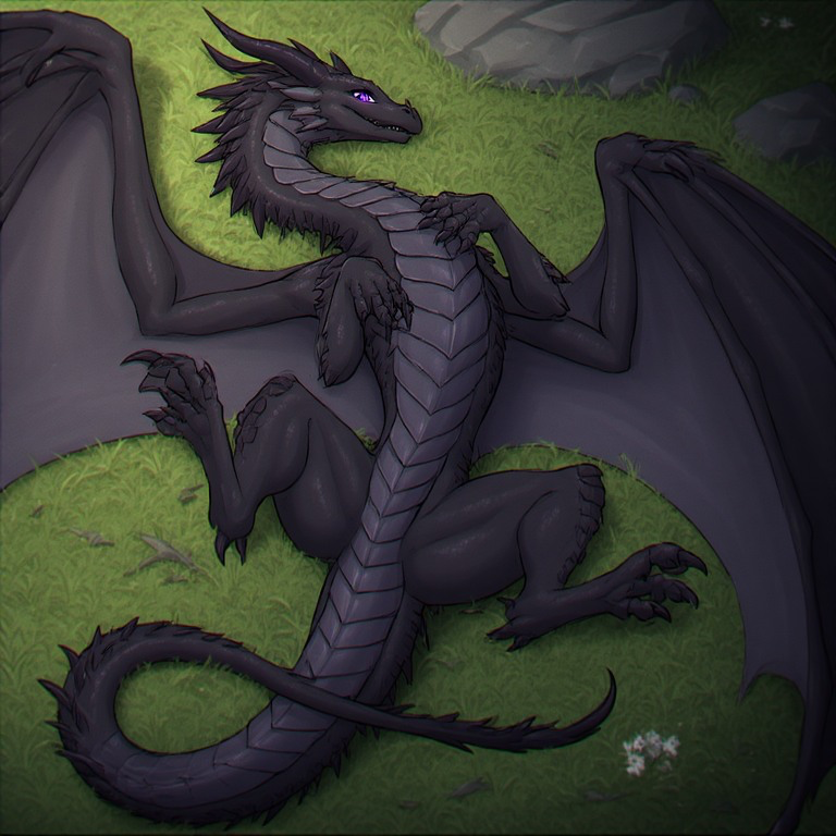 Avatar of Be a dragons mate for life