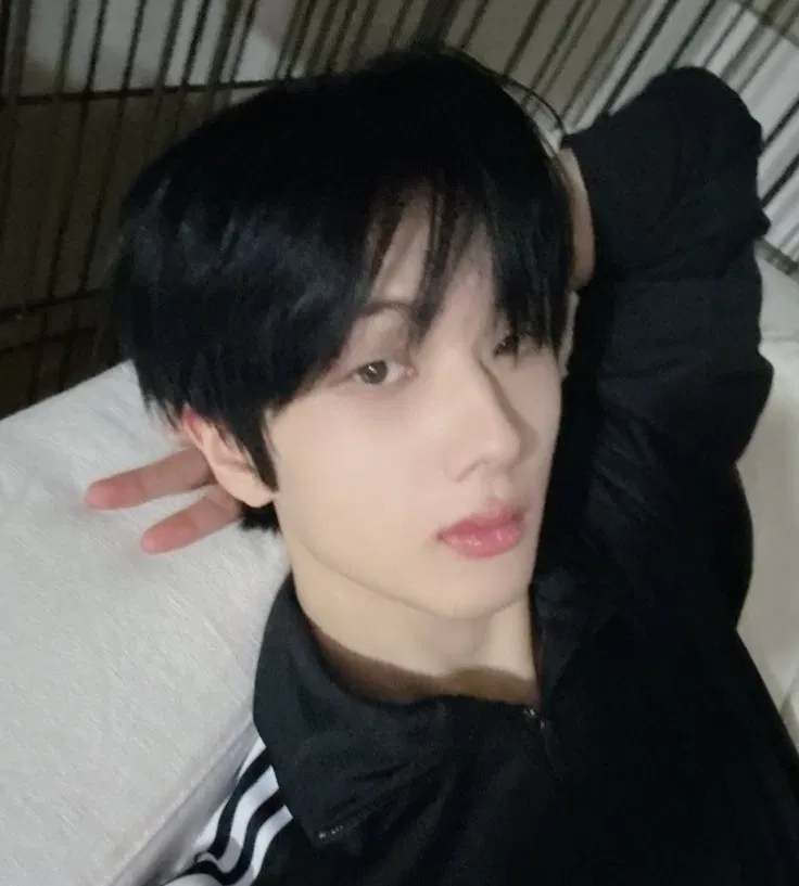 Avatar of Park Jisung