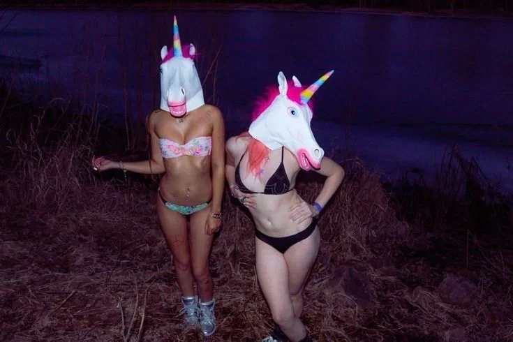 Avatar of Raving with your best friend .✦ ݁˖