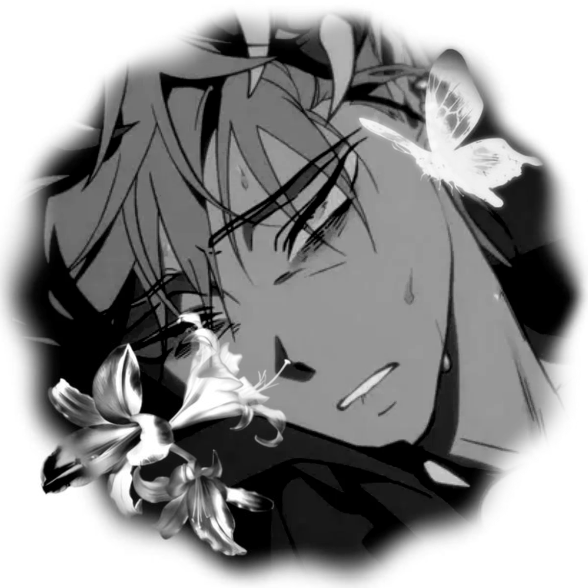 Avatar of Till 