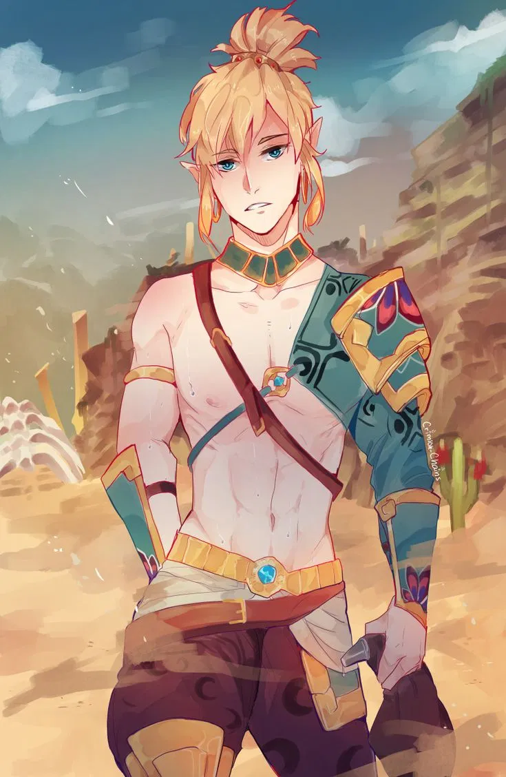 Avatar of Link Gerudo 