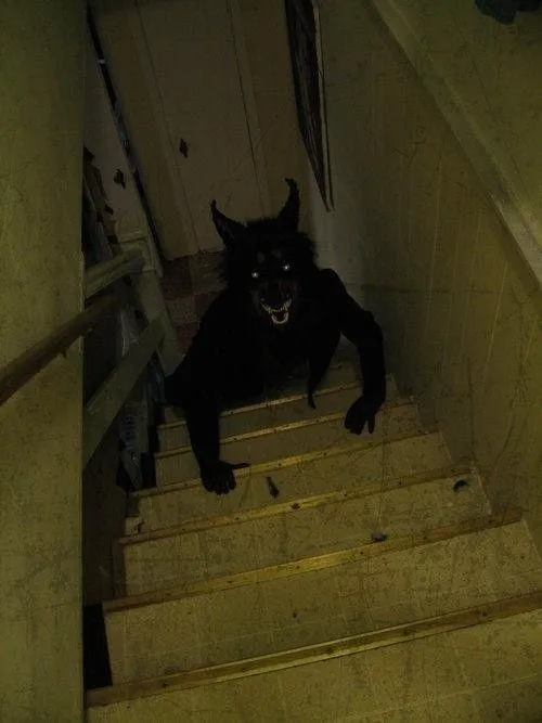 Avatar of Skinwalker