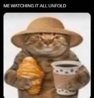 Avatar of The watcher cat
