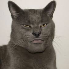 Avatar of Gotta say this