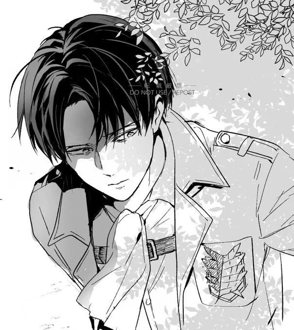 Avatar of Levi Ackerman - Husband AU