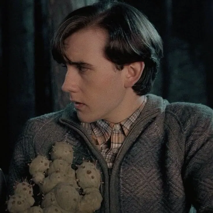Avatar of Neville Longbottom