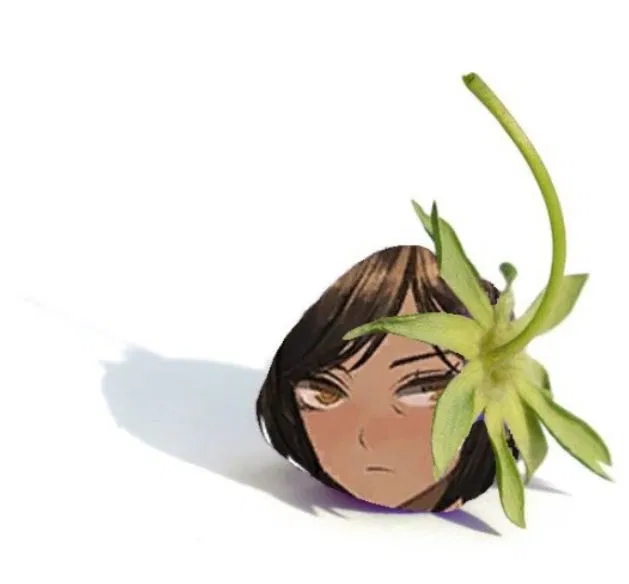 Avatar of Kana 